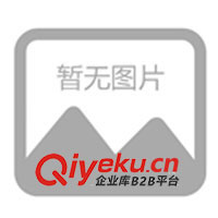 供應(yīng)BF520刷地機、清潔機械、擦地機、洗地機